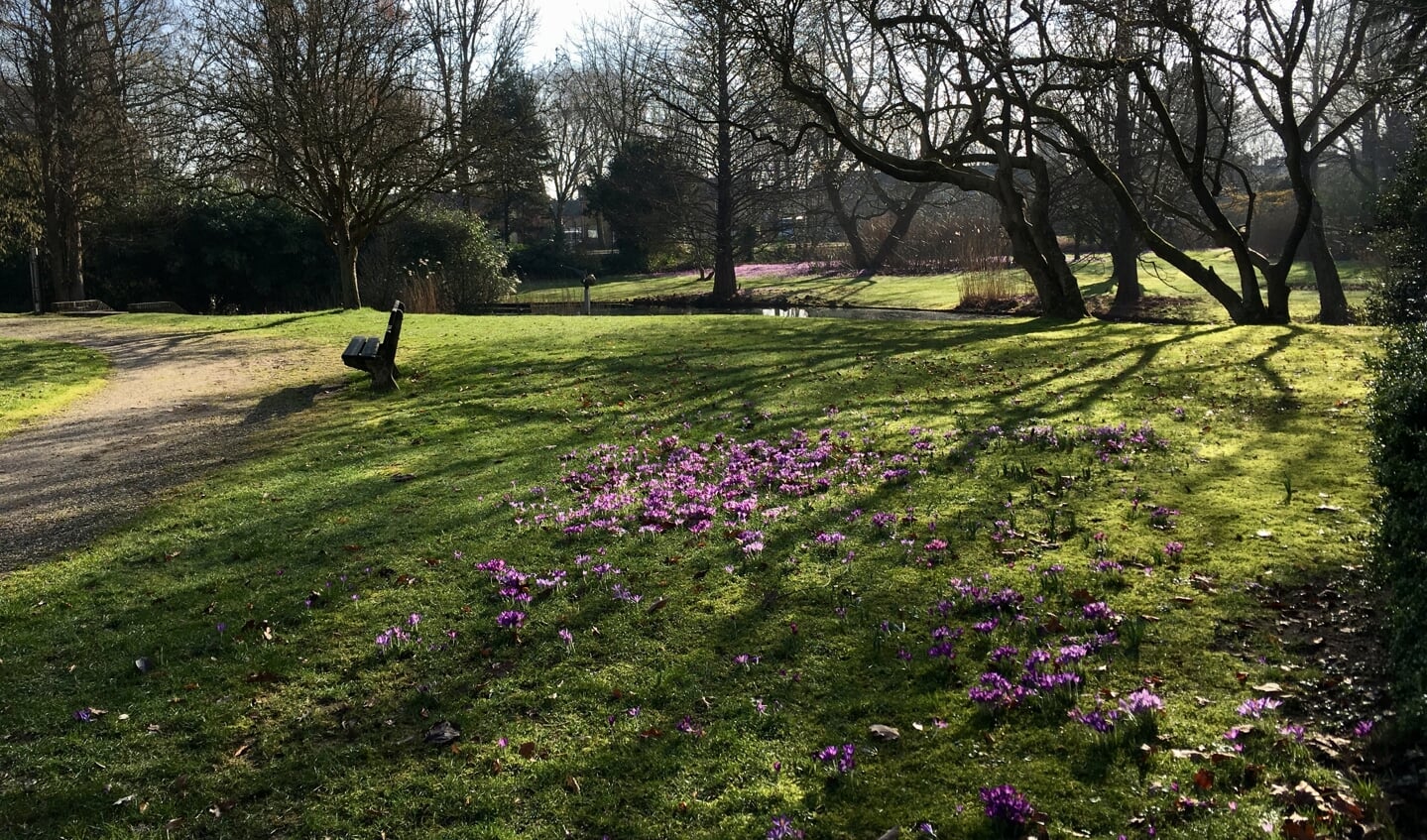 op de voorgrond en in de verte