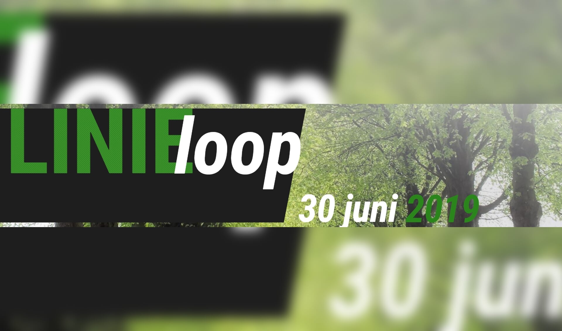 Logo Linieloop