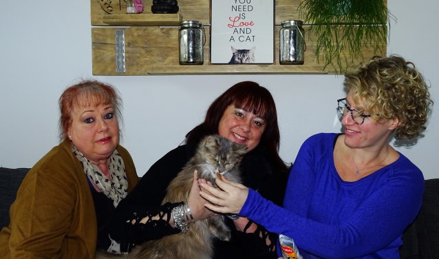 Vanaf links: Stella Nooijen, Irene Hermans en Ireen van Maaren.