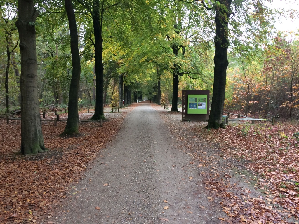 mooi wandelen op Bornia