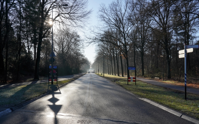 Amsterdamse straatweg