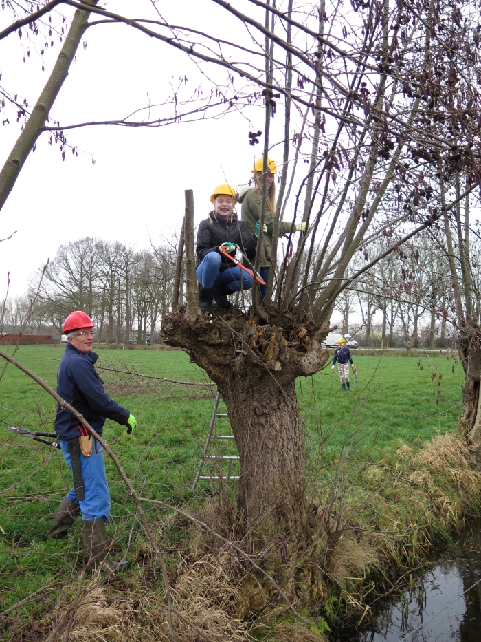 Scholieren knotten onder begeleiding van ervaren knotters