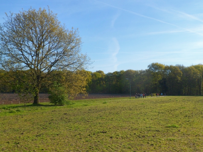 Akkers en bos