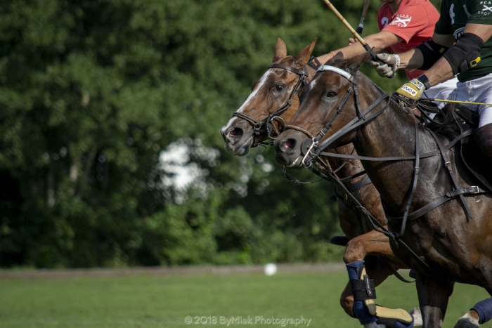 Polo & Country Fair