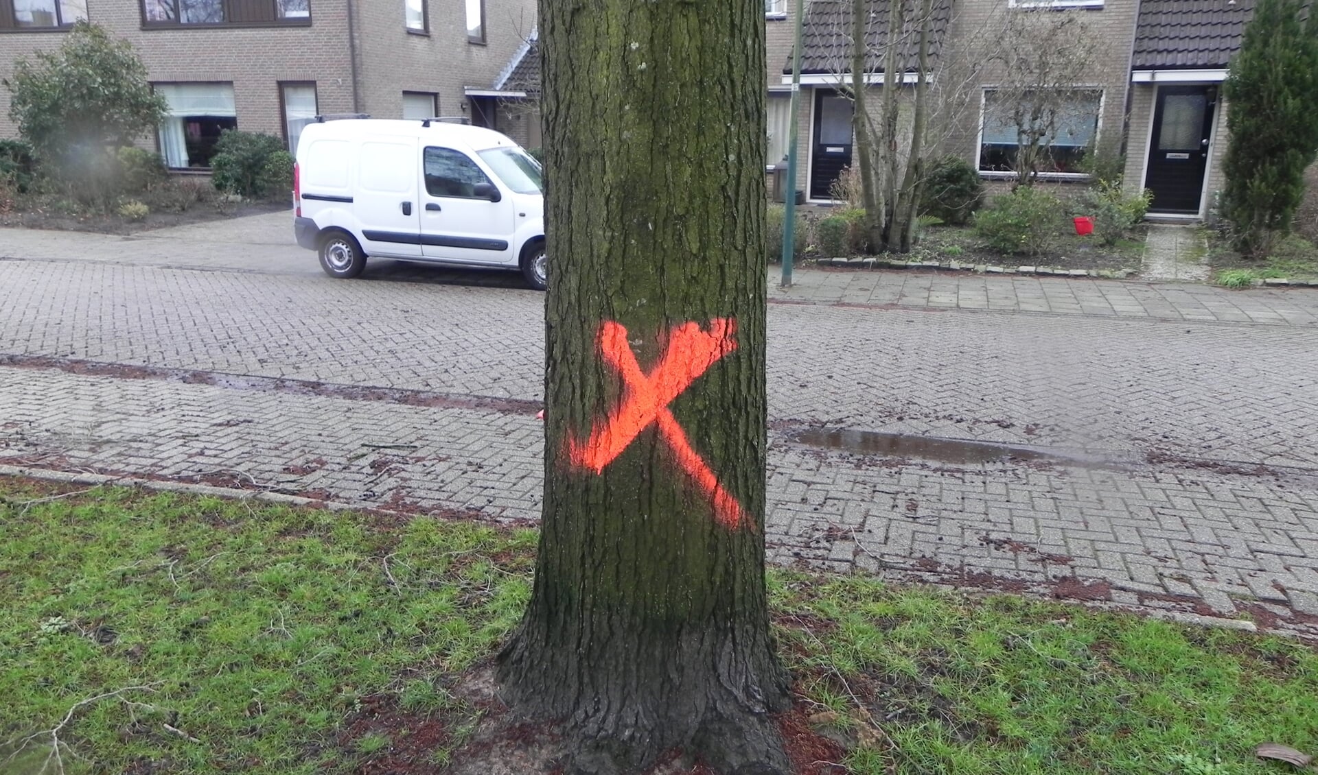 Met een rode X is aangegeven dat de Es moet worden omgezaagd.