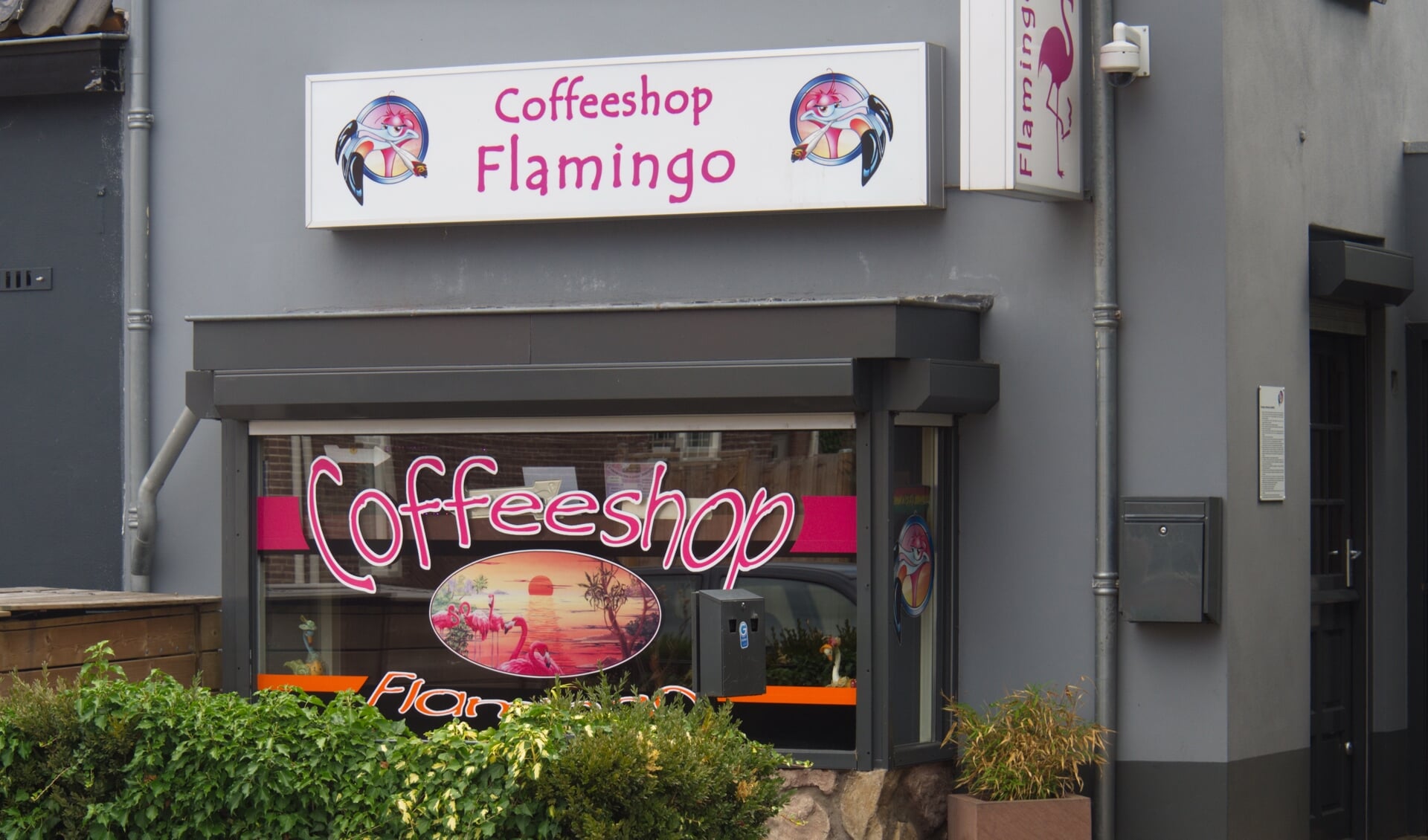 Coffeeshop Flamingo in Driebergen.