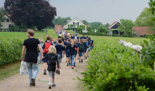 <p>Avondvierdaagse op weg naar Amerongen</p>