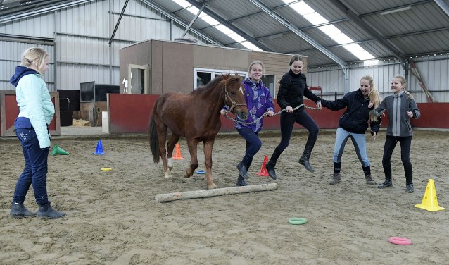 Ponykamp Stal Alblas