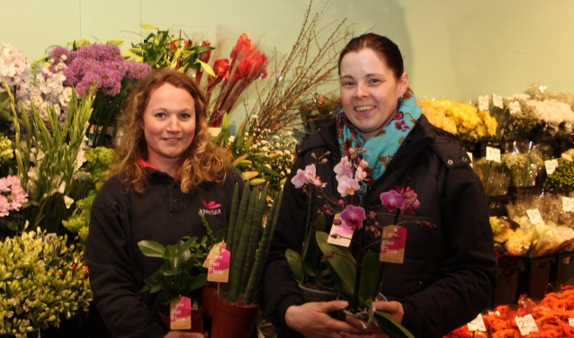 Bonne Fleur verkoopt zowel groene als bloeiende planten van Fair Flora.