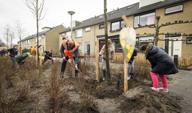 Boomplantdag