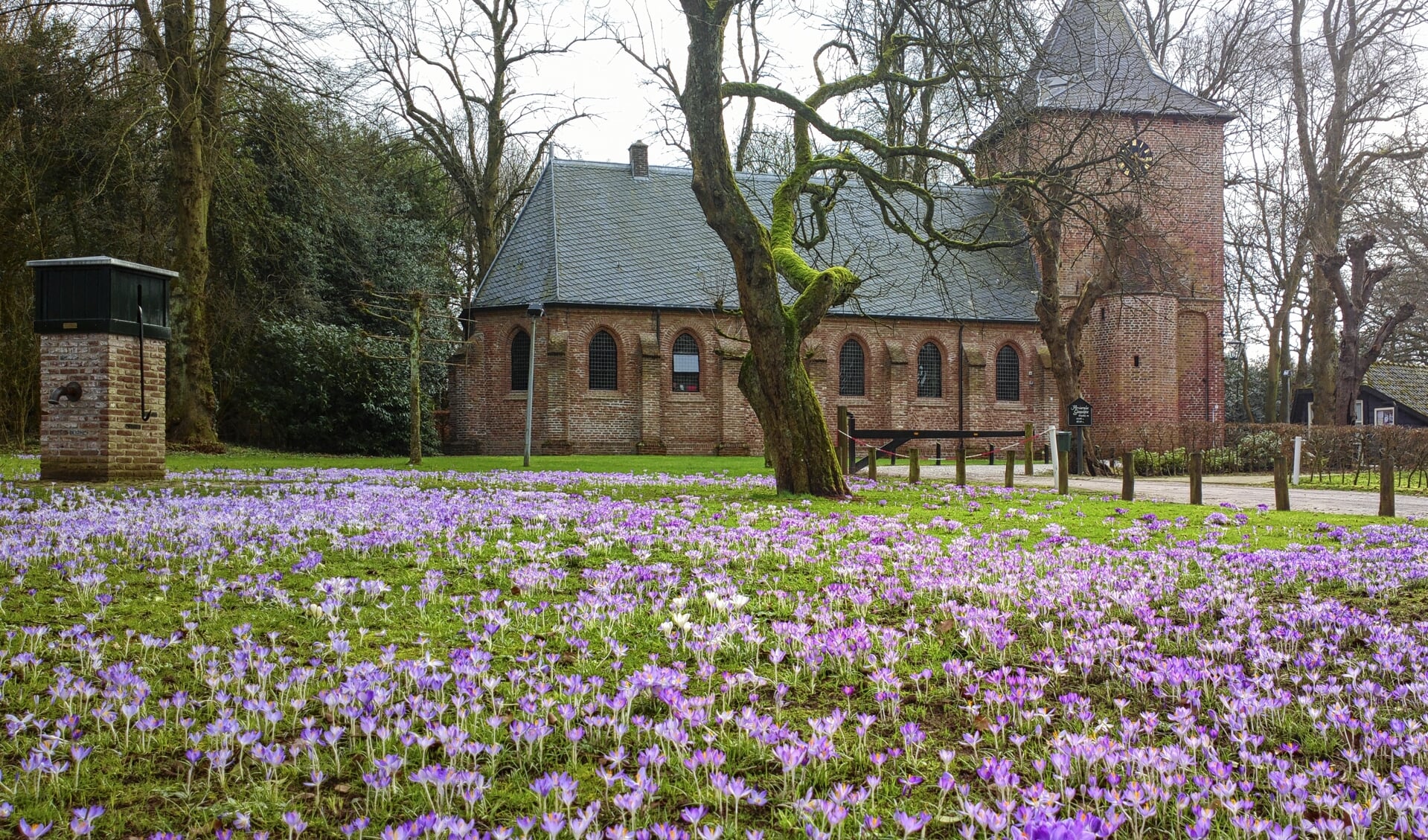 Archieffoto van de hervormde kerk in Kootwijk, aan De Brink.