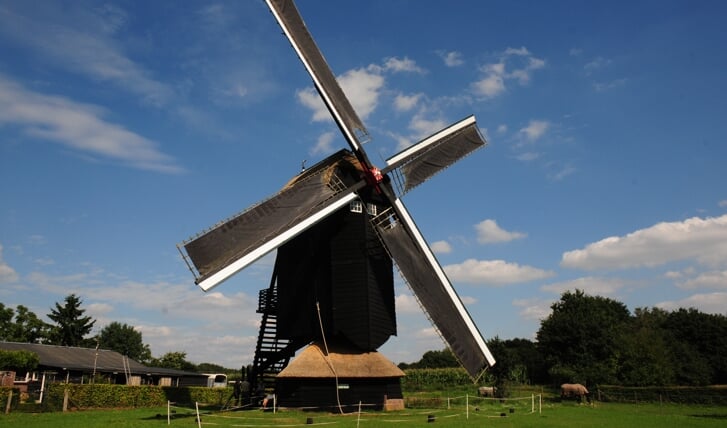 Afbeelding
