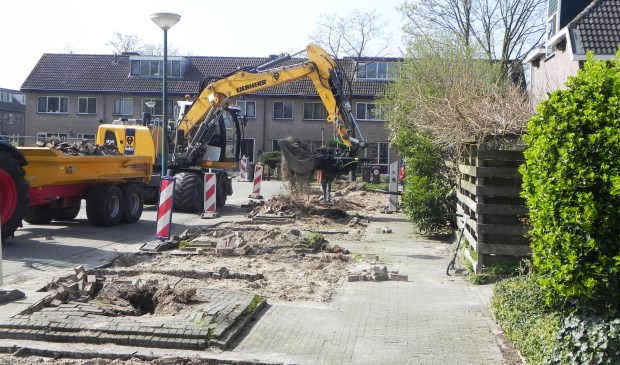 De bomen zijn al verwijderd en nu zijn de stobben aan de beurt