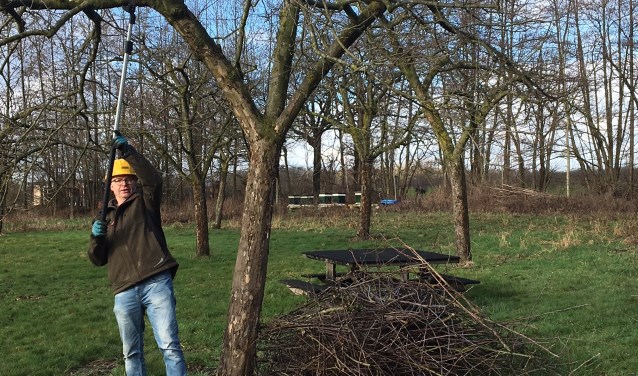Voor coördinator Eric Heijenberg is een dag snoeien in een boomgaard iedere keer een feestje.