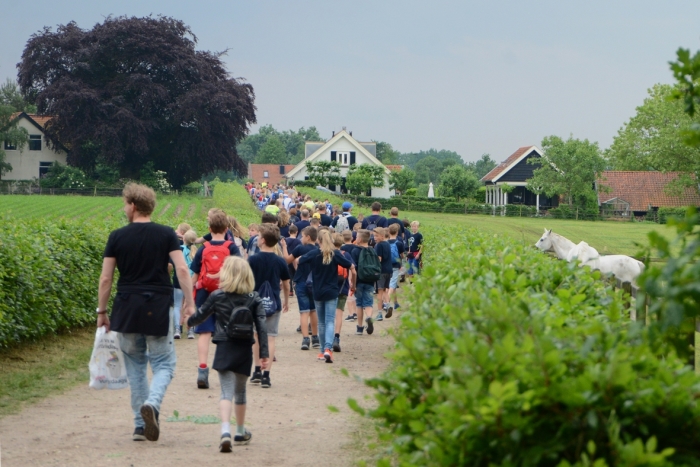 Avondvierdaagse op weg naar Amerongen