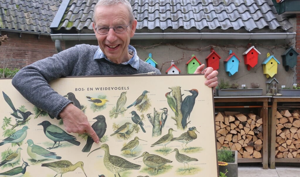 Henk van Paassen, wijzend op de vogel van het jaar: de wulp. Hij is tijdelijk voorzitter van Weidevogelwerkgroep Barneveld.