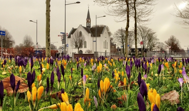 <p>Voorjaar bij de Witte Kerk</p>