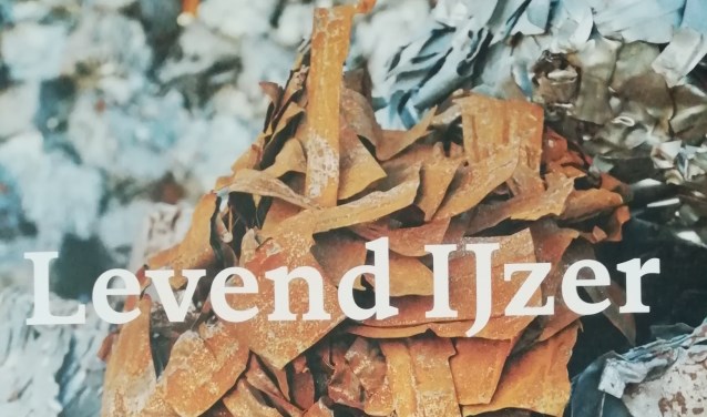 Voorzijde van het nieuwe boek over staal.