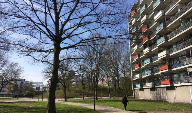 Entrada (in de verte) en een van de Zonnehofflats.