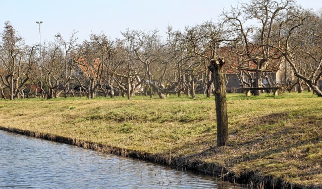 Het stadspark in 2015.