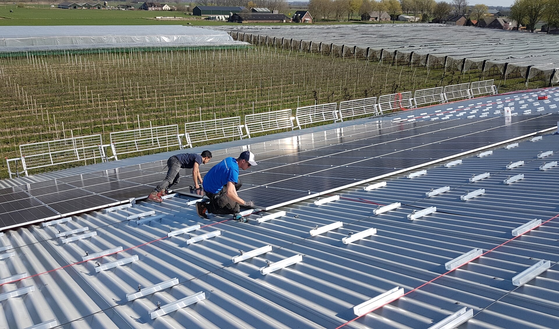 Hier worden zonnepanelen aangelegd op het dak van fruitteler Westeneng in Bunnik (archief)