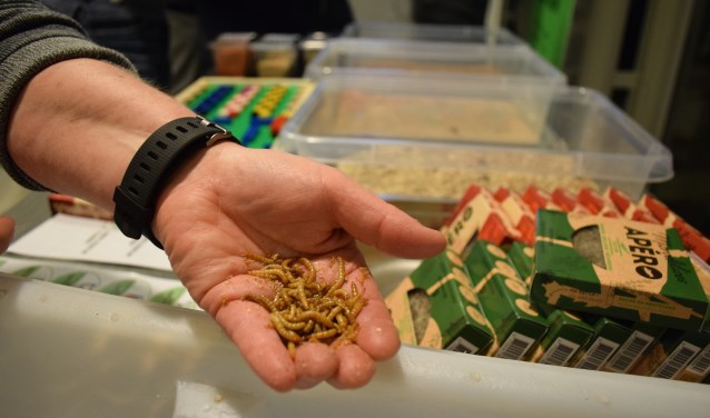 De avond in Barneveld draaide om insecten.