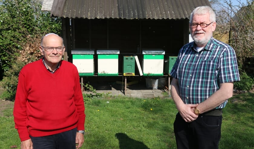 Voorzitter Arnoud Verelst (rechts) en erelid Kees de Koning bij een paar kasten waar bijen al af en aan de zon in vliegen. ,,Het is geweldig hoe dat proces verloopt en hoe ze zich naar elkaar gedragen.