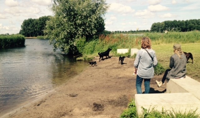 Bij het Hondeneiland in de Ouderkerkerplas mogen honden wel los lopen in deze periode.