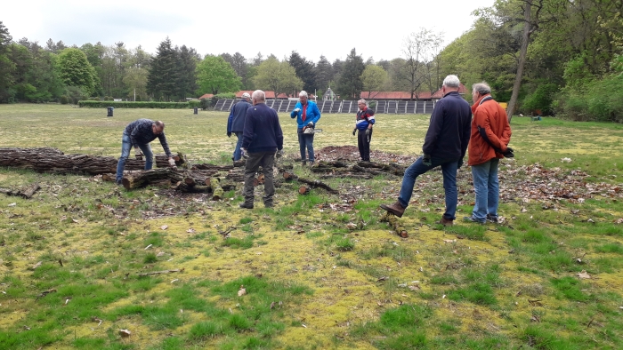 Bomen ruimen