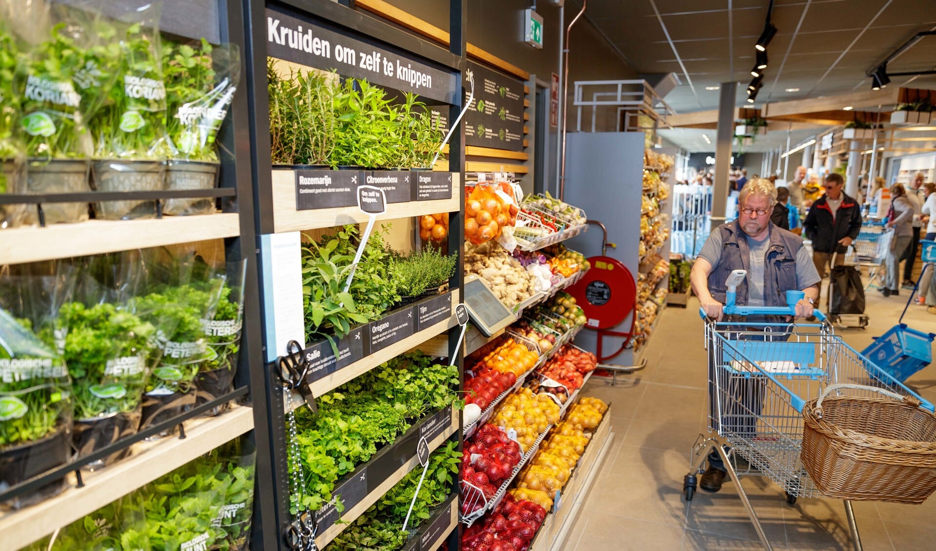 Bij binnenkomst van de vernieuwde Albert Heijn zien klanten direct een wereld van verse groenten en fruit.