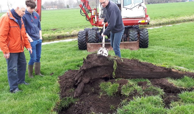 De werkgroep mocht aanwezig zijn het uitgraven van een drietal bomen, op het land van de Fam. De Nooij aan de Binnenweg.