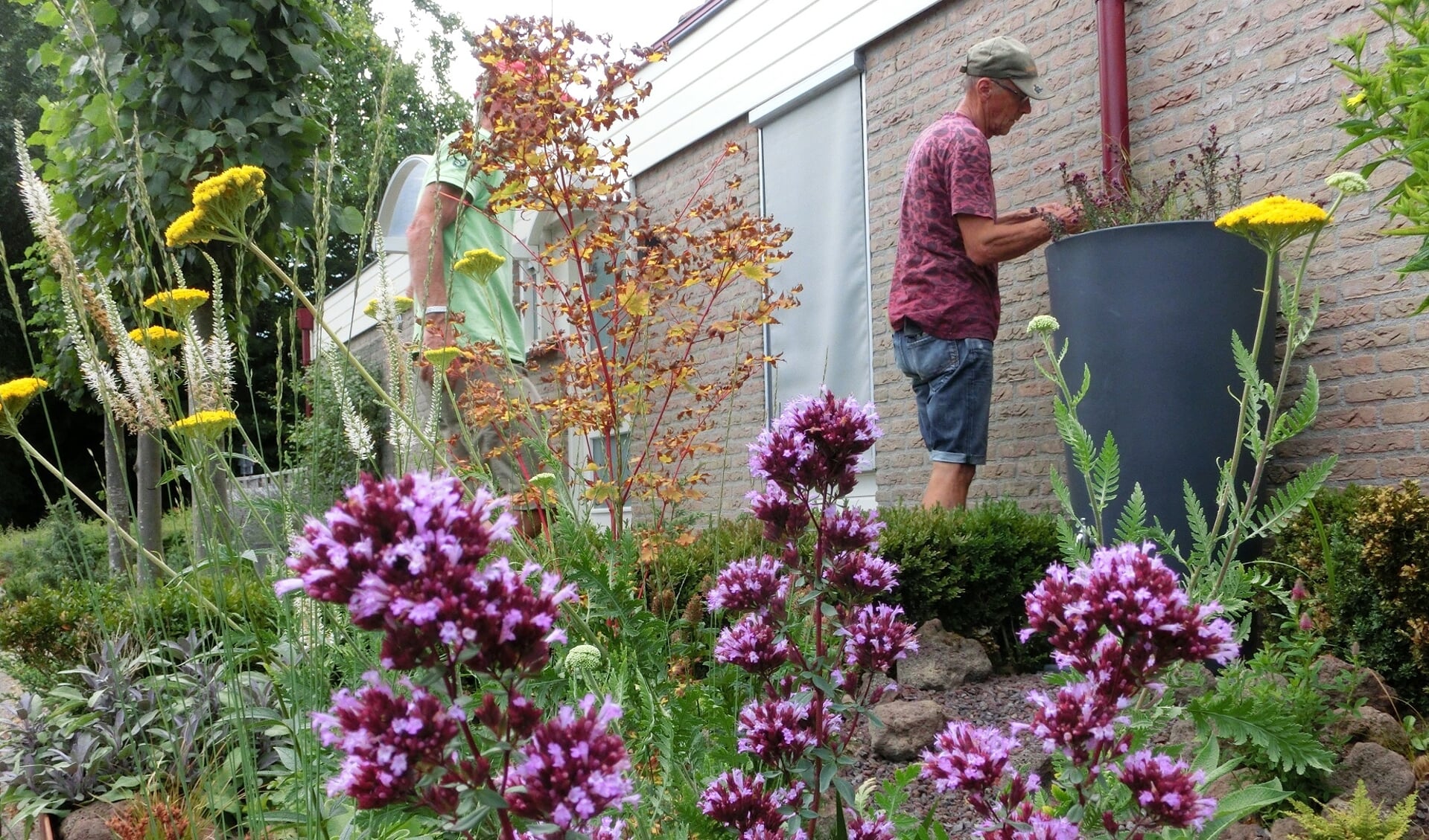 Een groene tuin is niet per definitie intensiever in onderhoud dan een tegeltuin. 