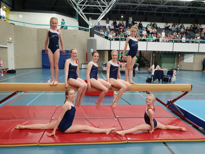 de turnsters van de zesde divisie