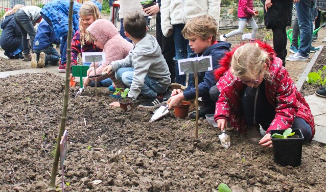 De moestuin bij De Windroos is geopend