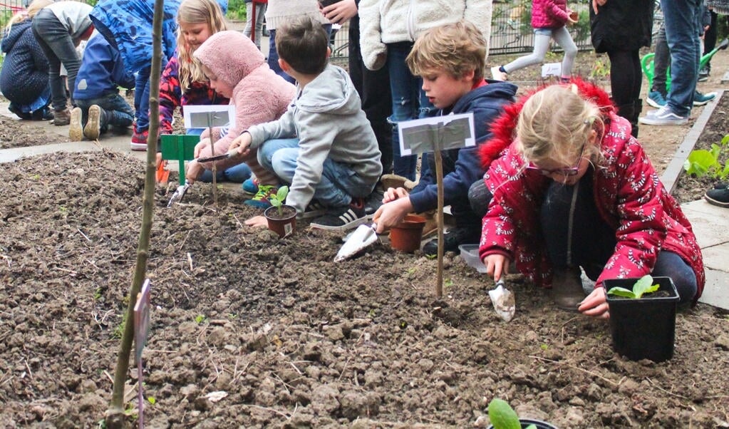 De moestuin bij De Windroos is geopend