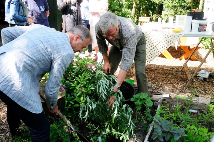 Wethouder Erik van Beurden plant een vlinderstruik