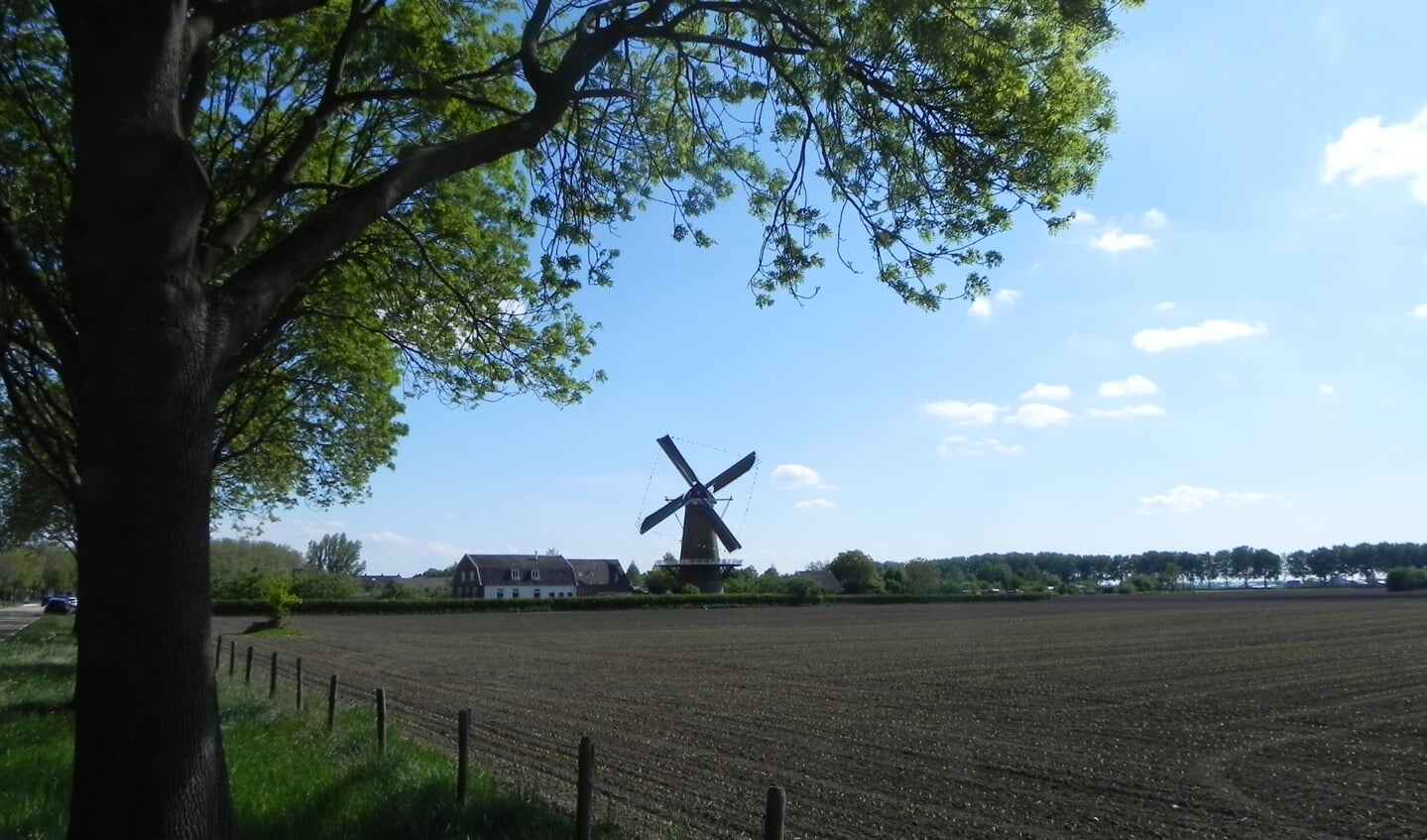 De karakteristieke molen is bepalend voor de skyline van Werkhoven.