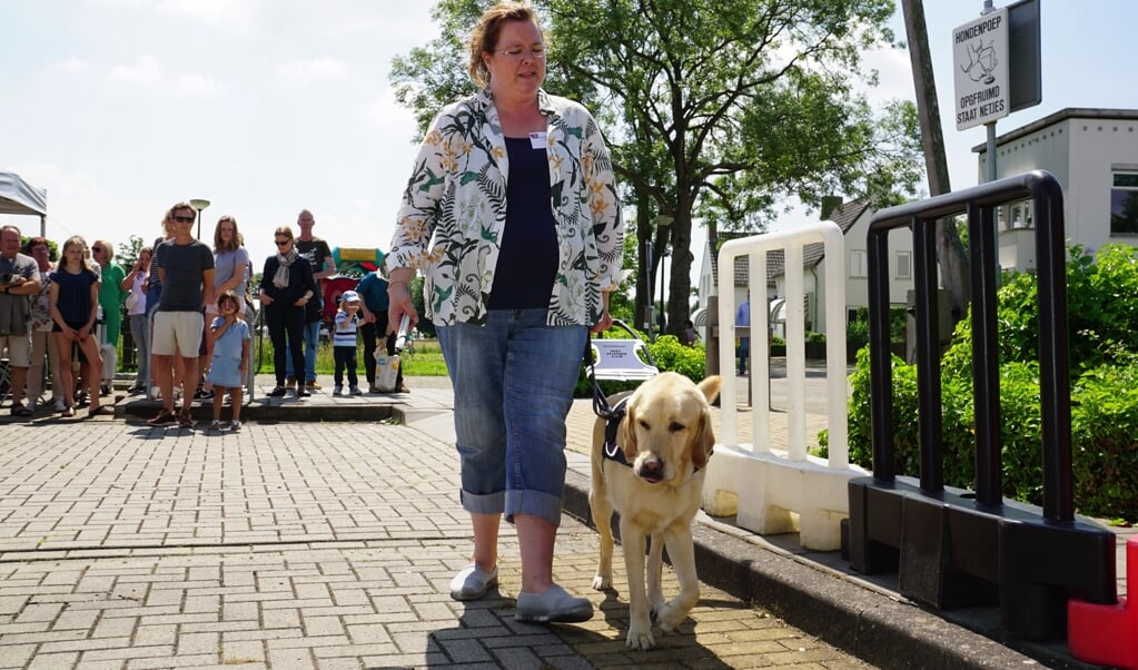 KNGF geleidehonden doet voor de tweede keer mee aan de Amstellanddag. 
