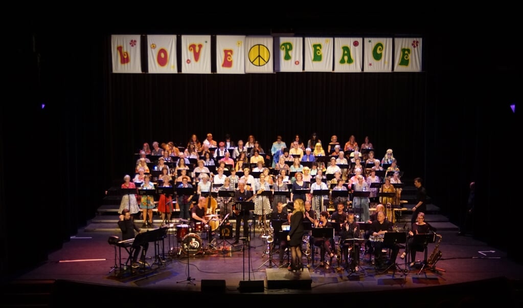 Sixties Concert The Joy met 