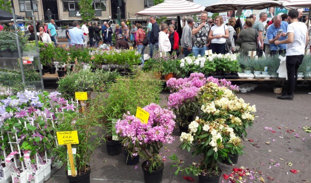 Bloemenmarkt op Het Rond