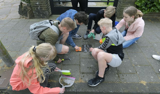 Struikelstenen schoonmaken