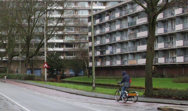 Woongebouwen moeten onder de boomtoppen blijven, zoals de flat links. Verder omhoog gaat alleen nog in de vorm van torens.