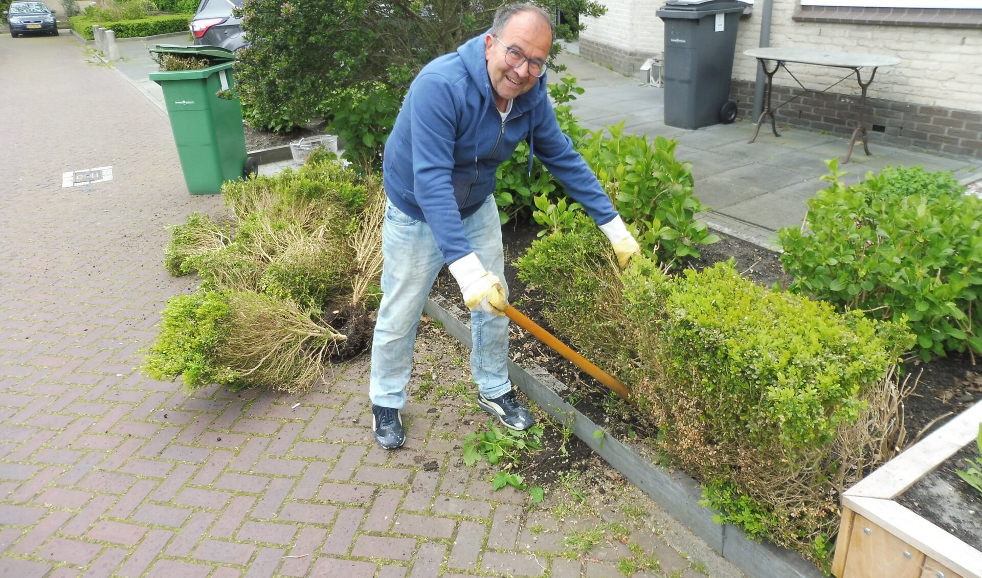 Bewoner rooit zijn buxusheg.