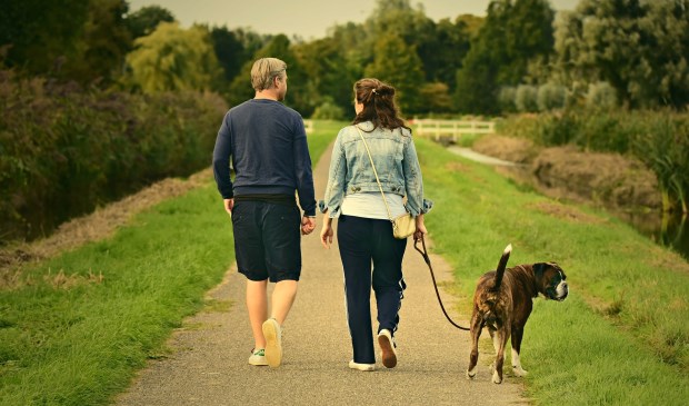 De Jagersvereniging vraagt hondenbezitters hun honden aan te lijnen in de natuur