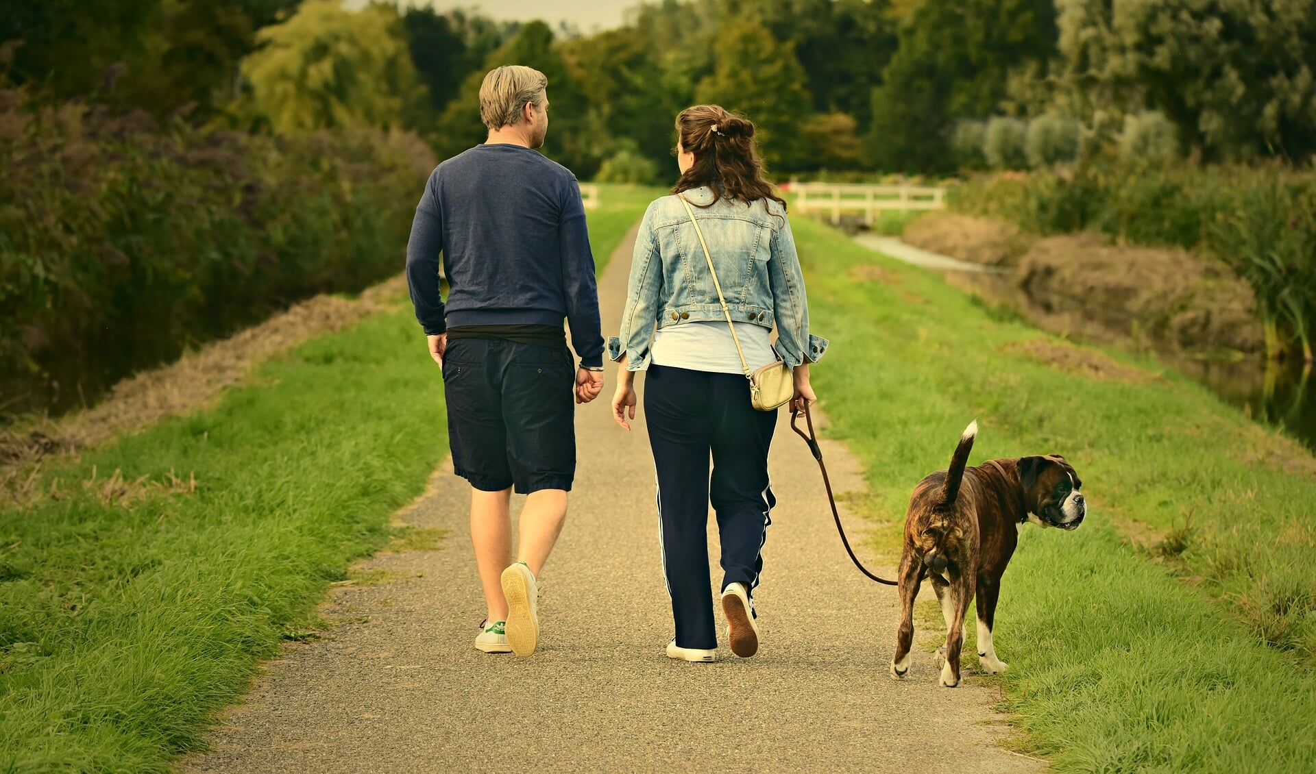 De Jagersvereniging vraagt hondenbezitters hun honden aan te lijnen in de natuur