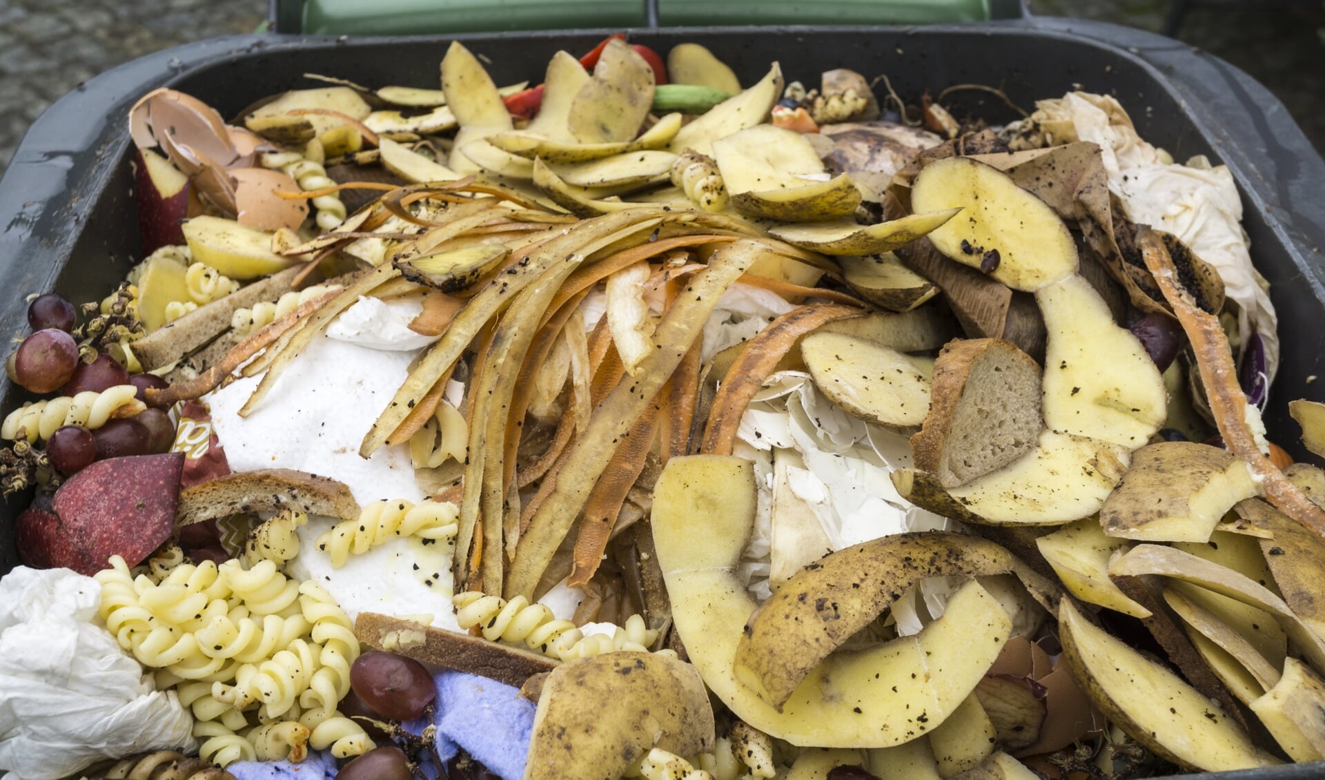 Huishoudens verspillen gemiddeld 41 kilo eten per persoon per jaar aan vast voedsel. Vooral brood, zuivel, groente, fruit en vlees worden weggegooid. 
