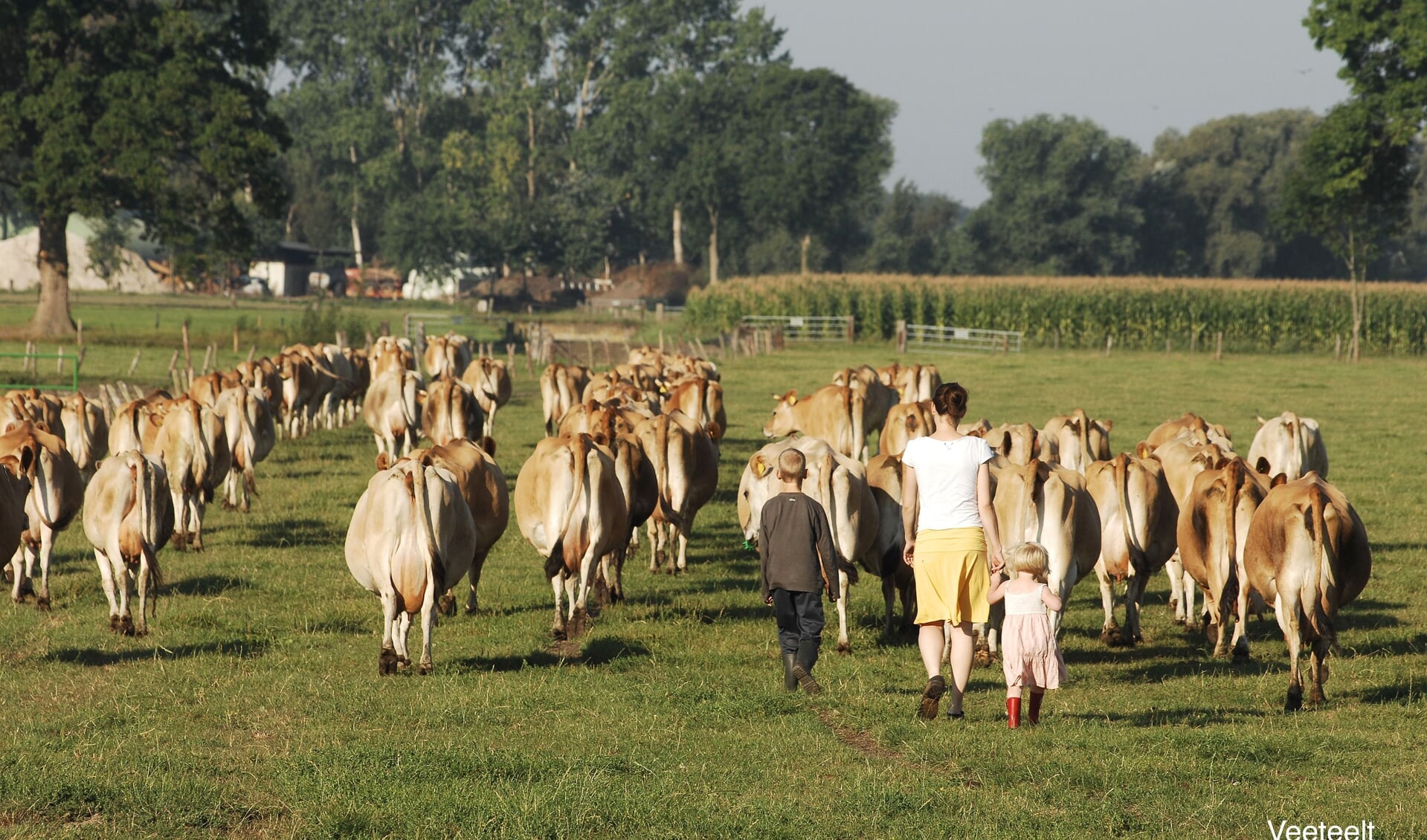 Boerin Irene van der Marel, haar kinderen en de Jersey koeien in de Remeker wei.
