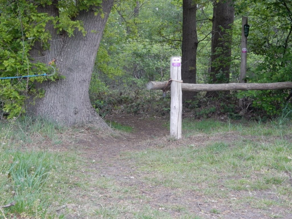 Ondek waar dit pad je heen leidt in de wandeltocht door het buitengebied.