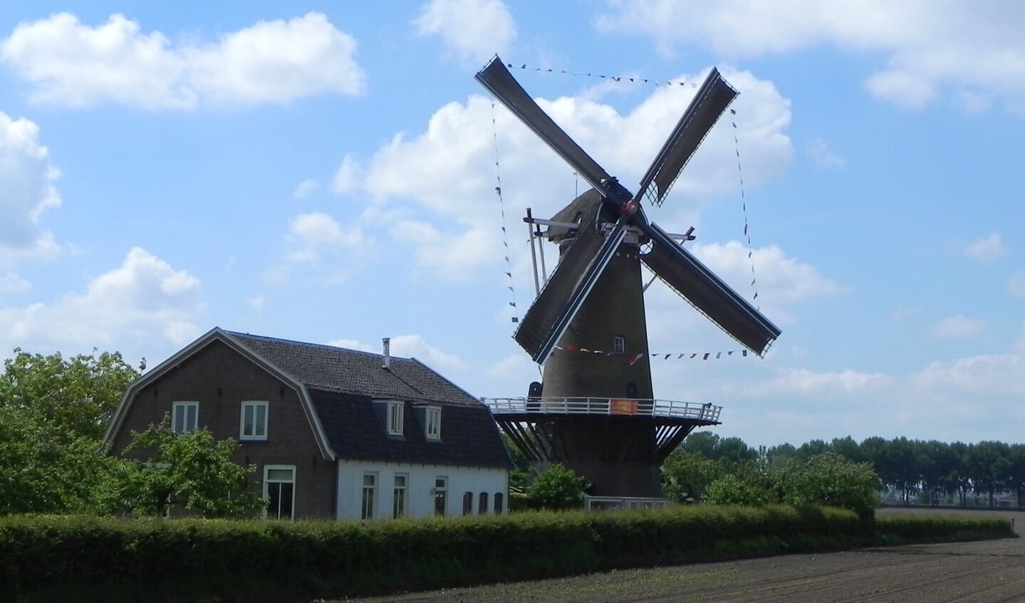 De molen Rijn en Weert staat fier te draaien in de wind. 