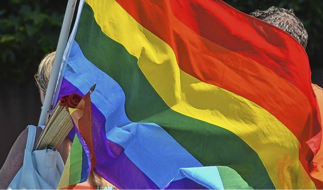 5432208_hco42 regenboogvlag.jpg
